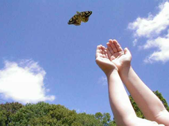 Letting go of judgment