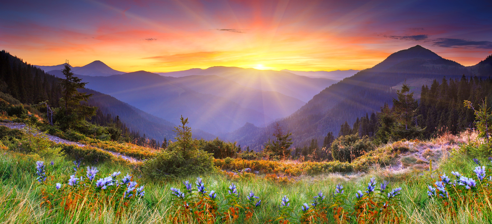 Life After Divorce - Group & Private Divorce Programs