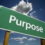 What's Your Purpose