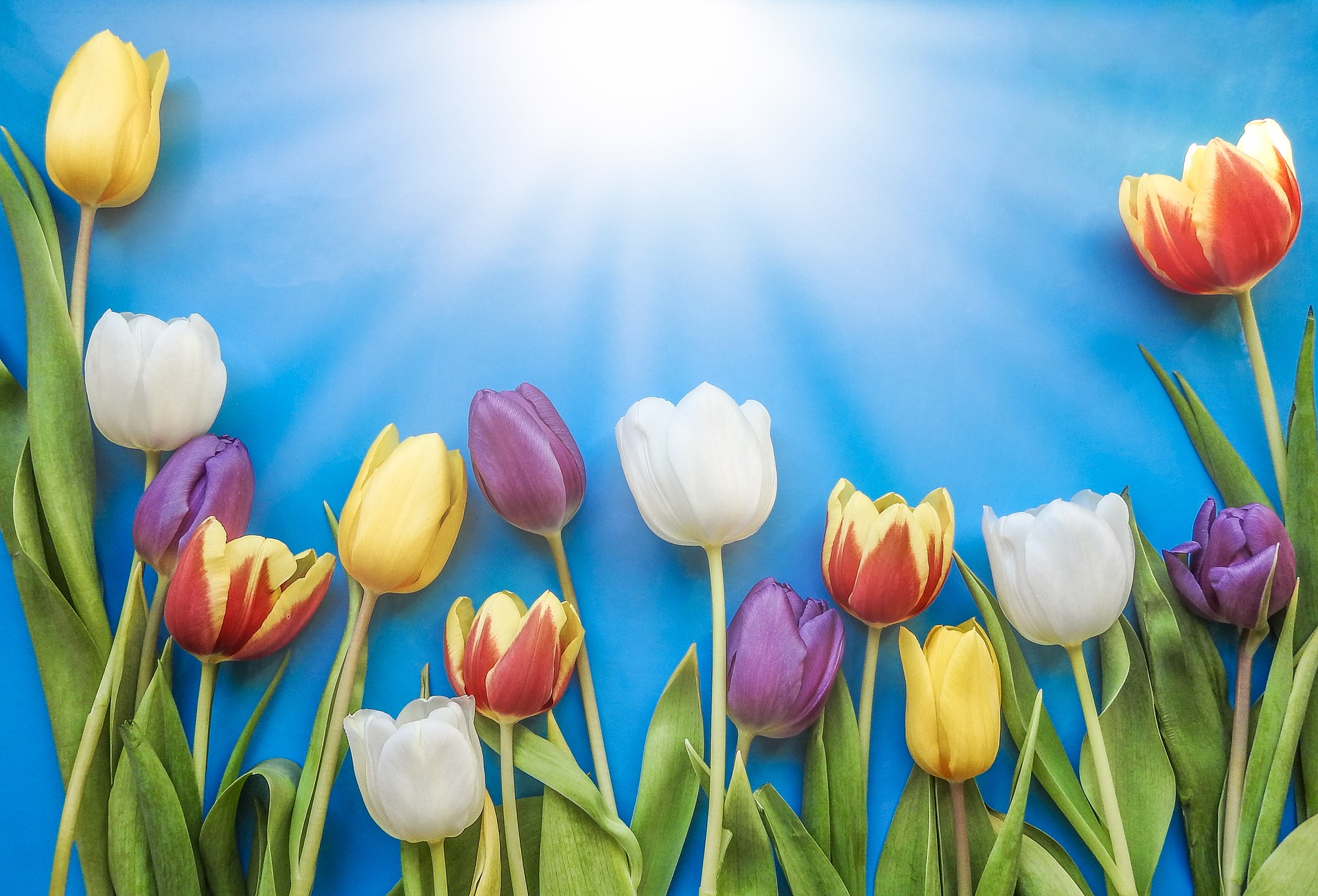 Spring is the perfect new beginning from divorce